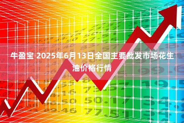 牛盈宝 2025年6月13日全国主要批发市场花生油价格行情