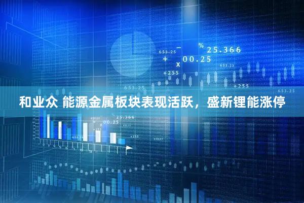 和业众 能源金属板块表现活跃，盛新锂能涨停