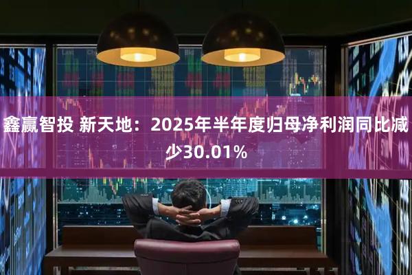 鑫赢智投 新天地：2025年半年度归母净利润同比减少30.01%